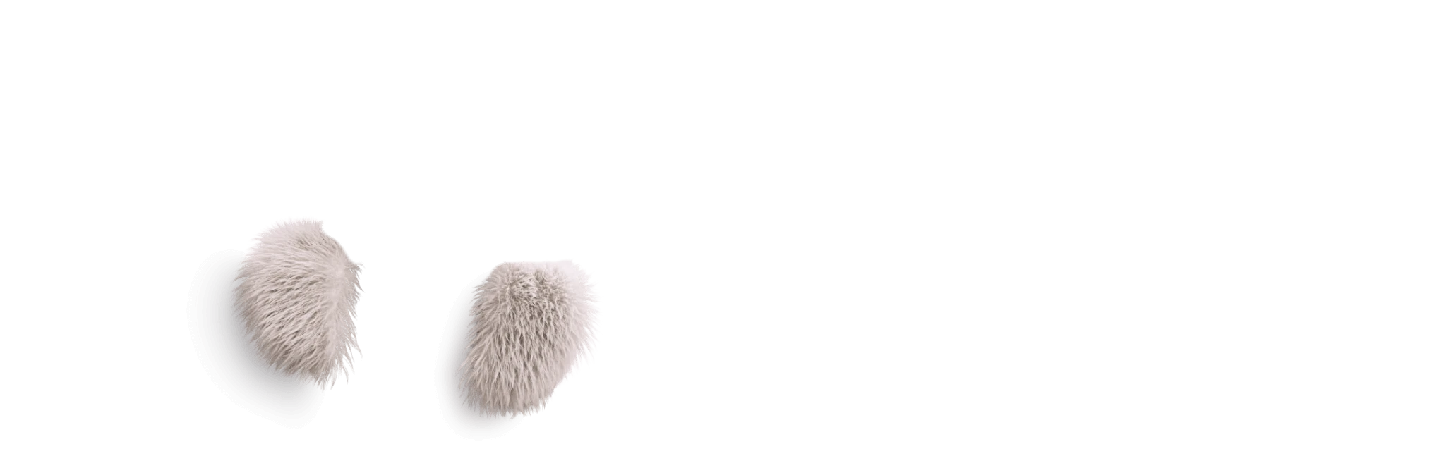 tuleň pod _Klíčový vizuál_ 2.png