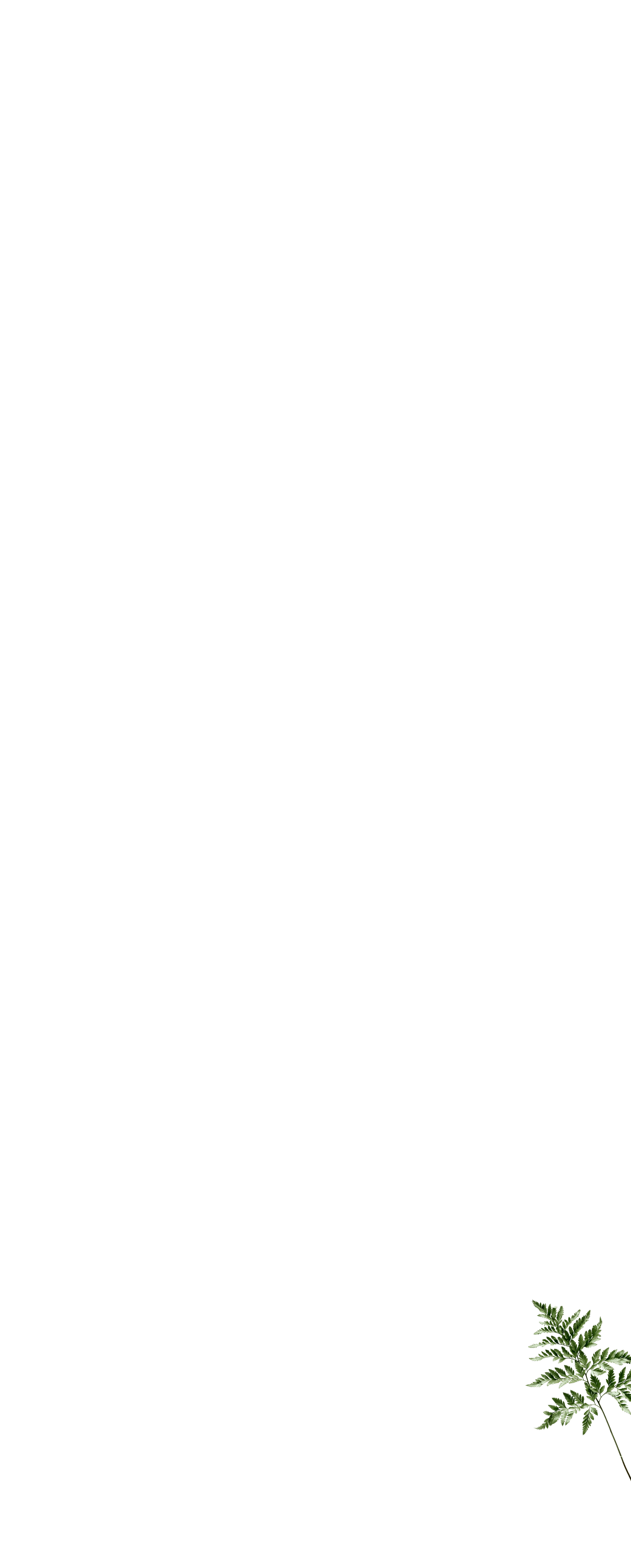 fullscreen_kapradina3.png