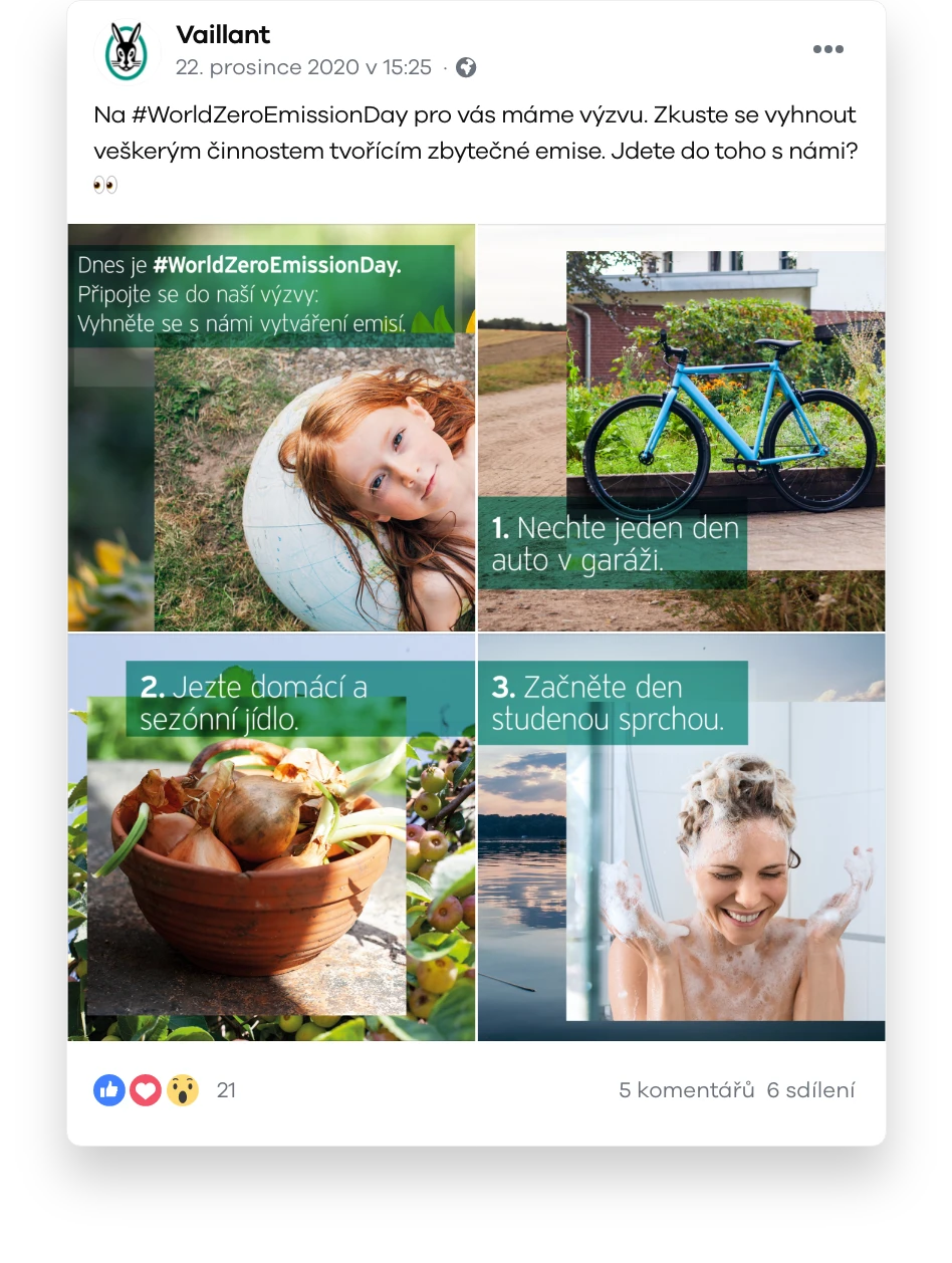 vaillant-post-1.png