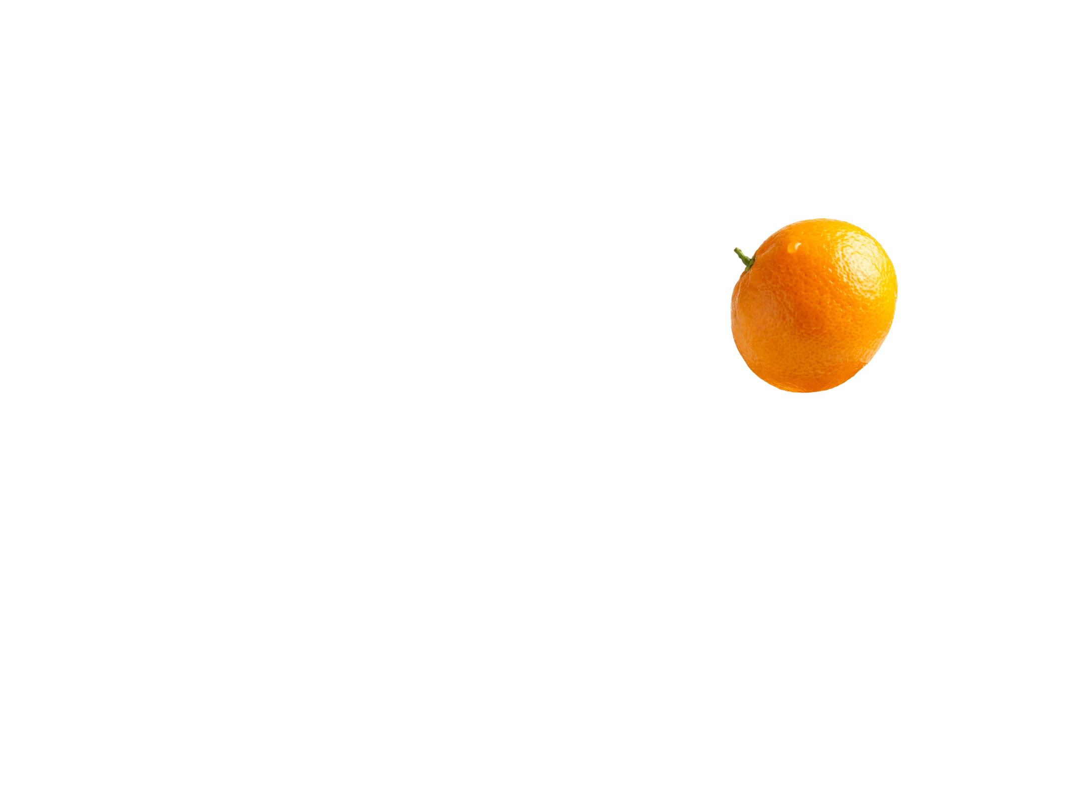 25_Expedice.png