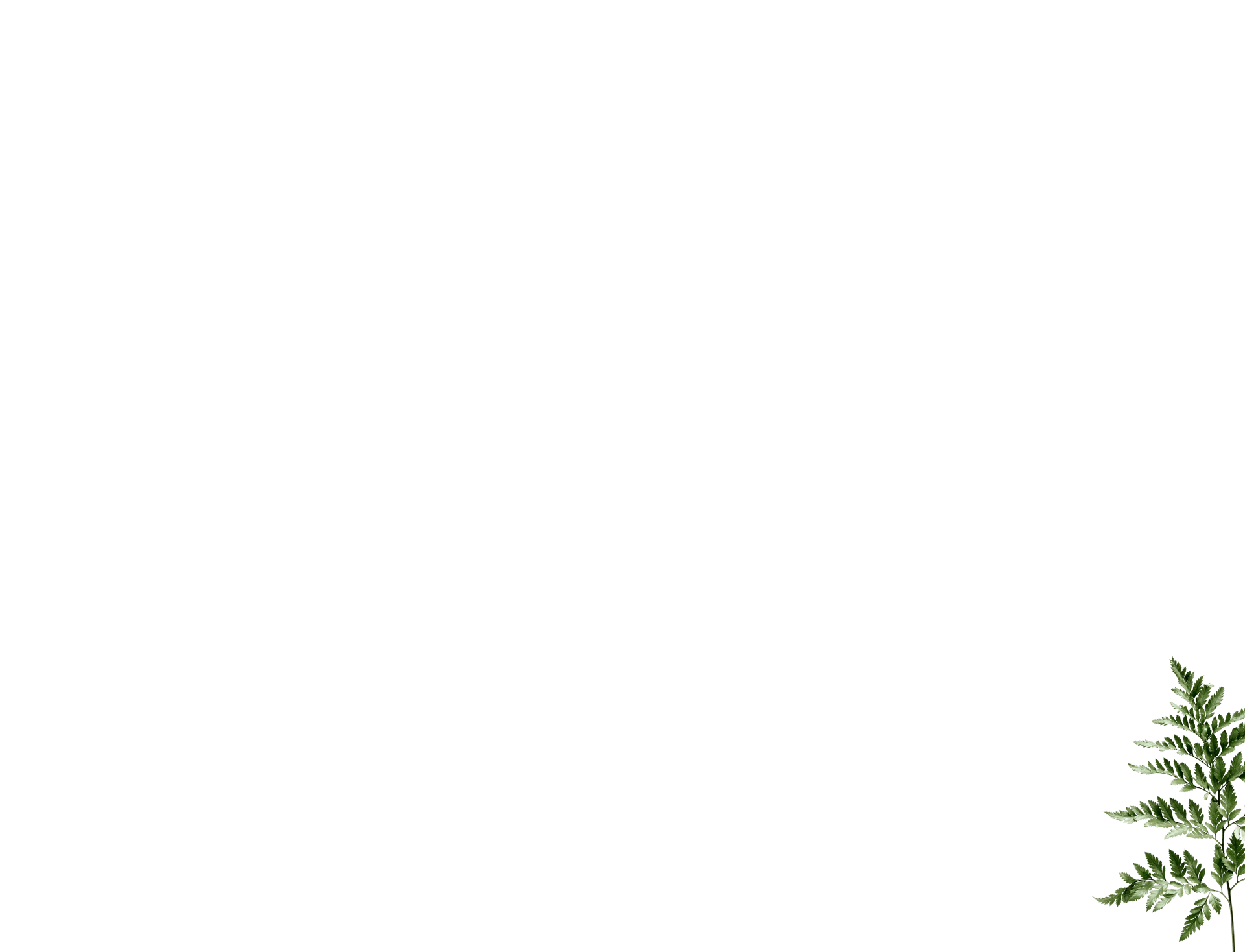 realizace_predni_kapradi2.png