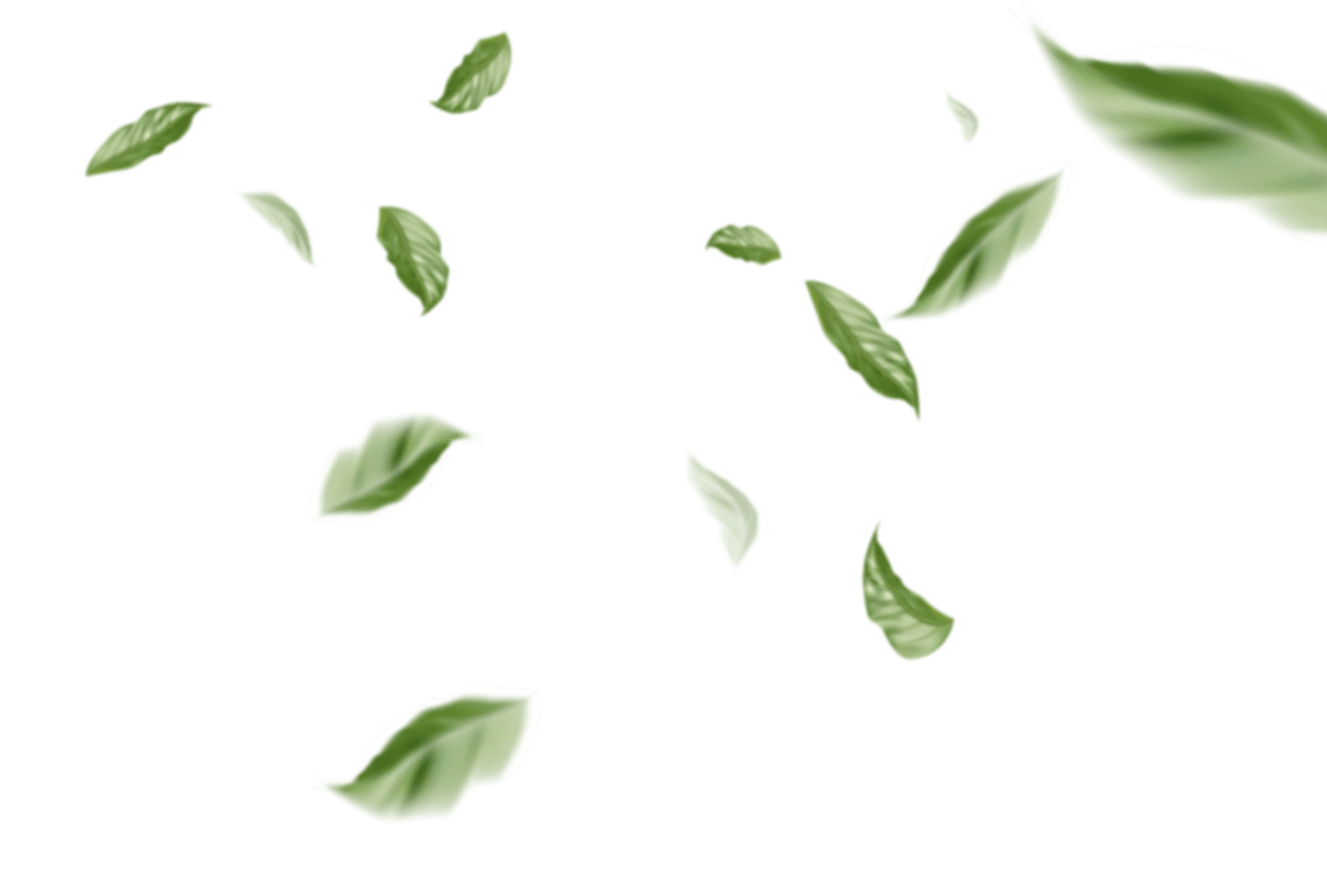 46_Souteze.png