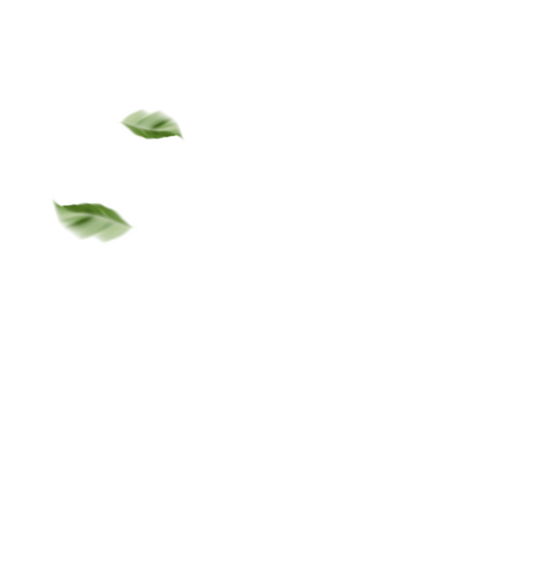 Frame-1.png
